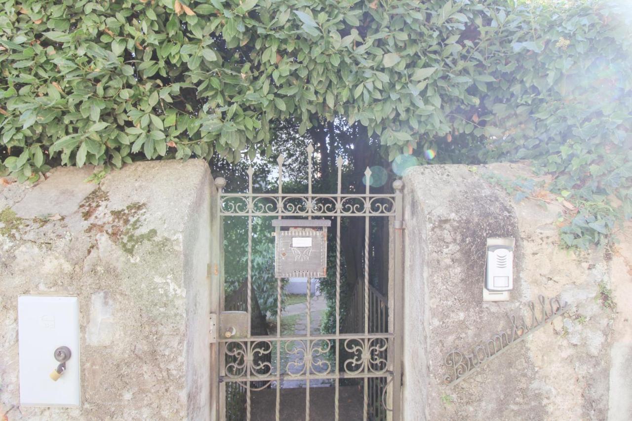 Villa Elena Mezzegra Exteriör bild